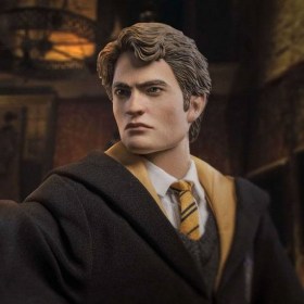 Cedric Diggory Deluxe Version Harry Potter My Favourite Movie 1/6 Action Figure by Star Ace Toys